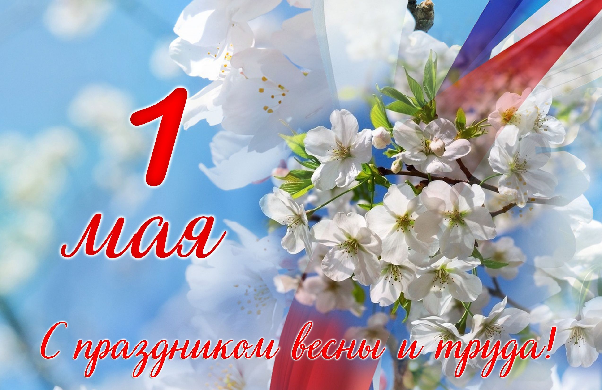 Поздравление с 1 мая!